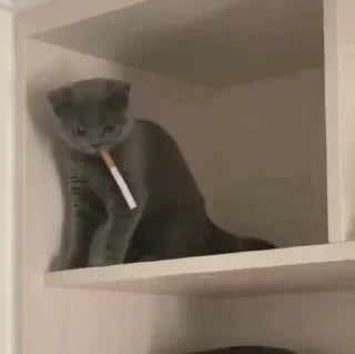 🚬