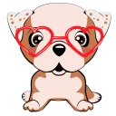 👓