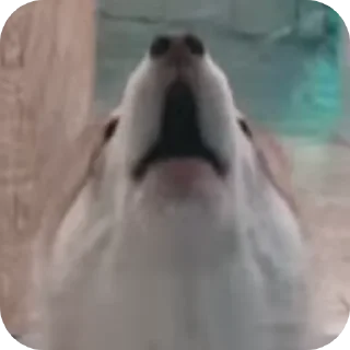 👍