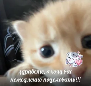 💗