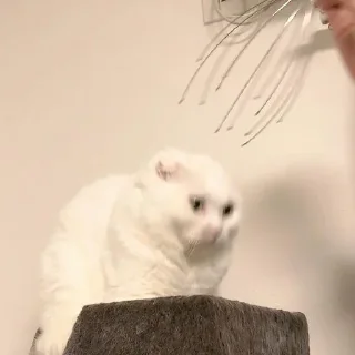 😵