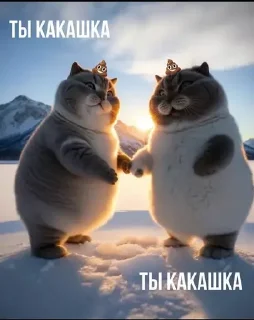 👉