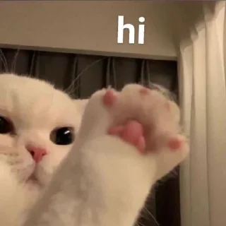 👋