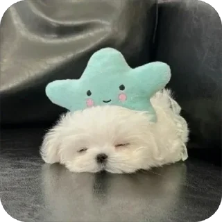 😴