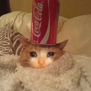 🥺