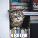 😺
