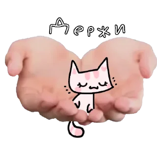 🐱