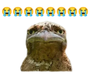 🪃