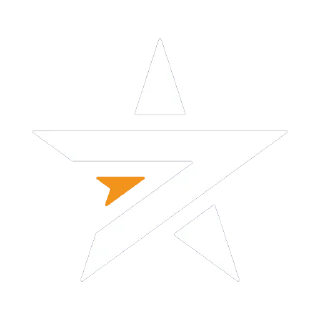 🌟