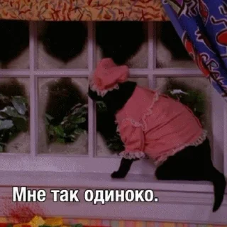 😪