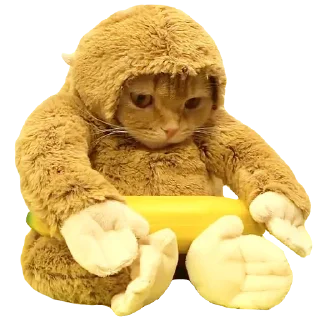 🐵