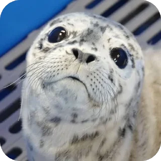 ❤