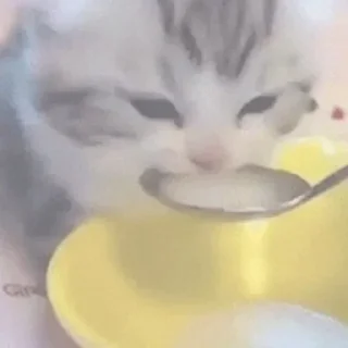 😋