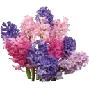 💐