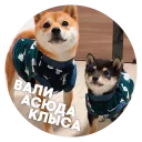 🐶 Пёськи тьмок @lennysticker