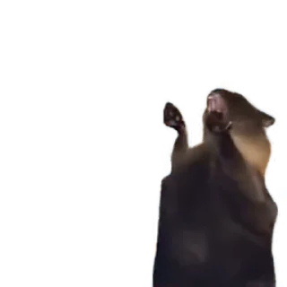 😡