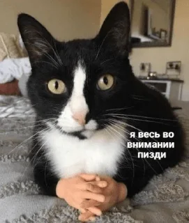 🤫