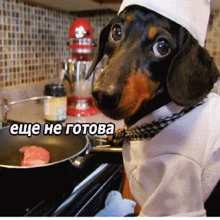 👨‍🍳