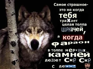 🐺