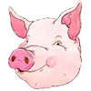 🐖