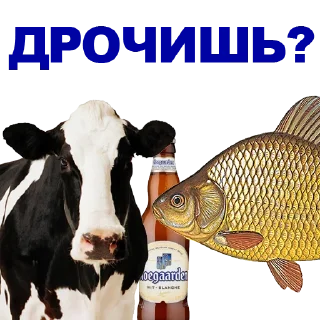 🐠
