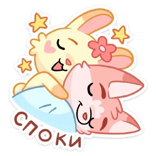 😴
