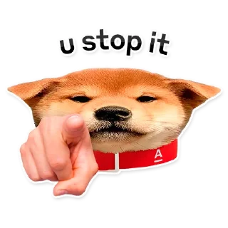 🚫