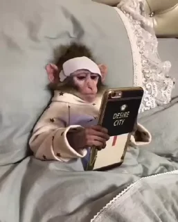 📱
