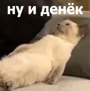 🫥