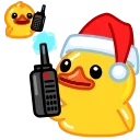 🦆