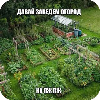 🌷