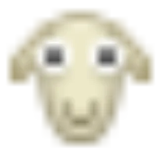 🐑