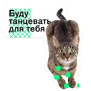 😧