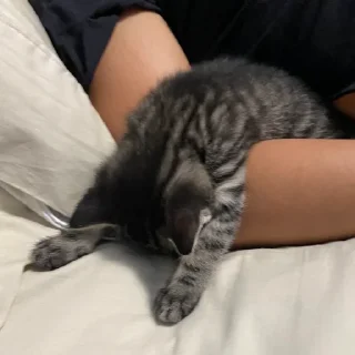 😴