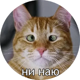 😐