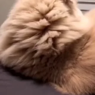 ☺️