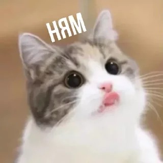 😋