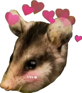 🥰
