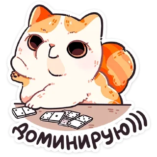 🐱