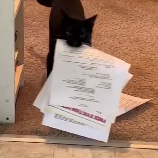 🏫