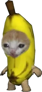 <3