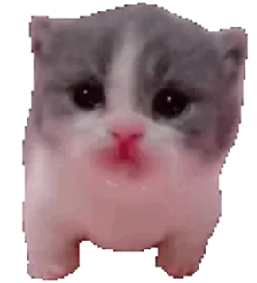 🫣