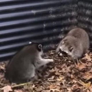 😠