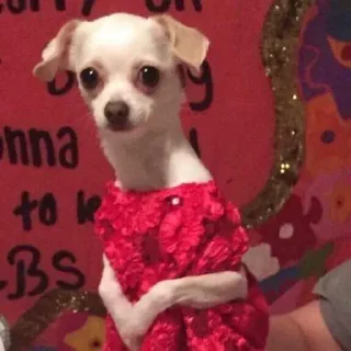 💋