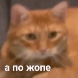 😡