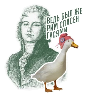 🦢