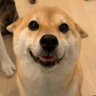 😀