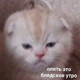 ☹️