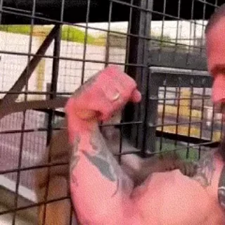 💪