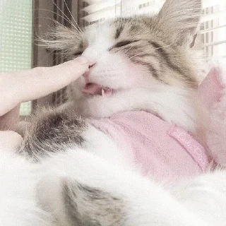 💗